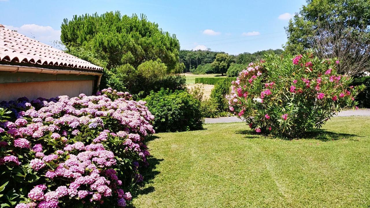 Le Prieure Villa La Motte-de-Galaure Eksteriør bilde